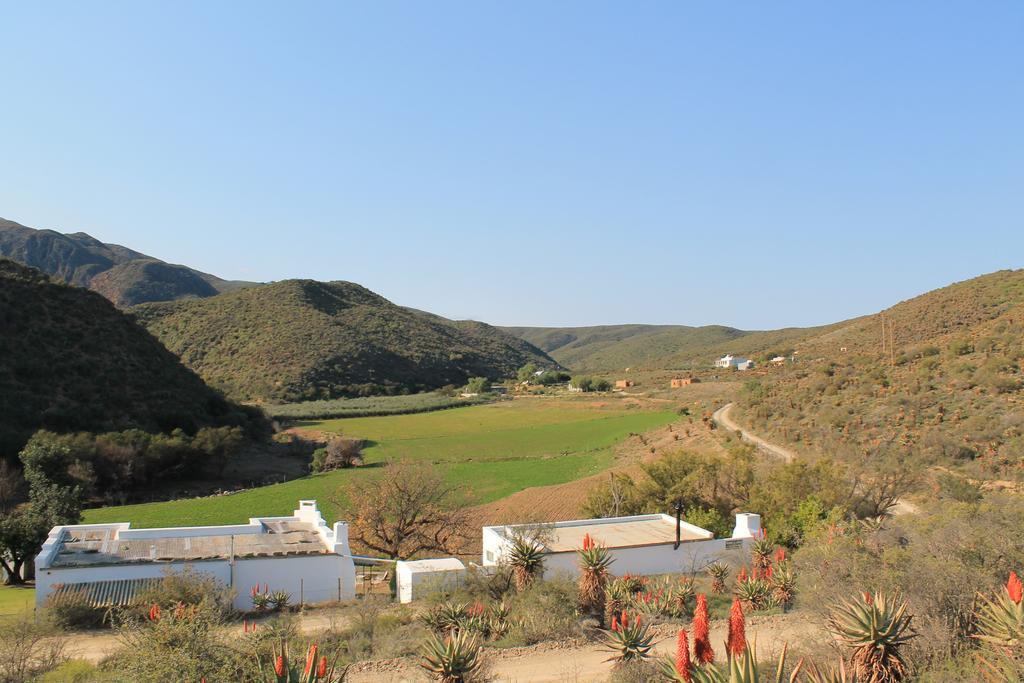 Matjiesvlei Guestfarm Villa Calitzdorp Eksteriør bilde